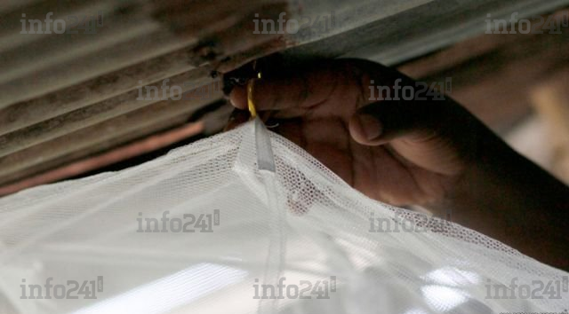 Installation de moustiquaire et entretien : conseils utiles