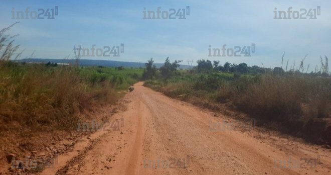 RDC : Deux militaires tués et deux Chinois enlevés par des coupeurs de route
