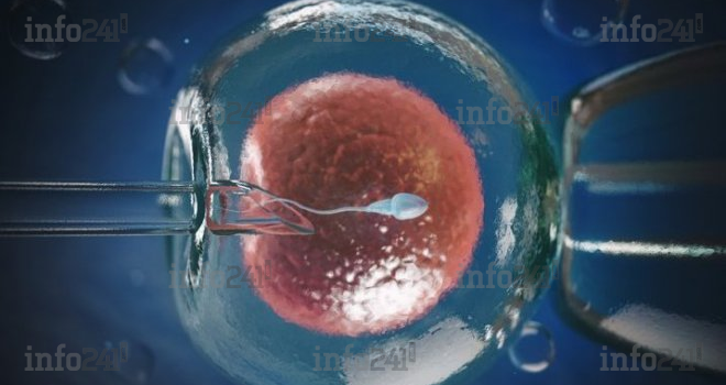 Fécondation in vitro au Gabon : il faudra débourser jusqu’à 3,5 millions à Jeanne Ebori !