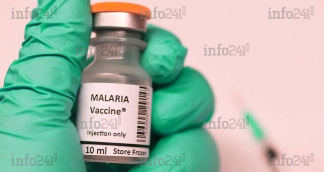 Paludisme : « RTS,S », le tout premier vaccin homologué par l’OMS bientôt déployé