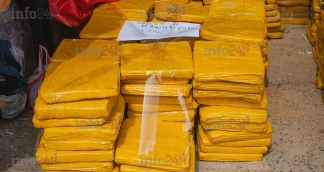 Trafic de drogue : Saisie record de 1 561 tablettes de cannabis au Port-Môle de Libreville