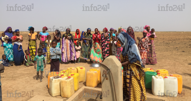 Sahel : Plus de 5 millions de déplacés en insécurité