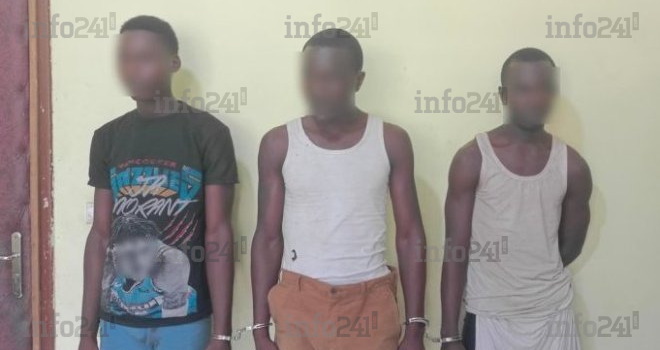 Trafic de kobolo : Un étudiant, un « cultivateur » et un récidiviste démasqués puis jetés en prison