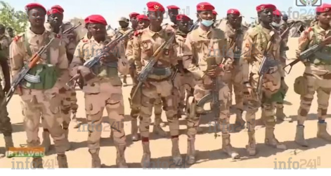Niger : Six otages libérés par l’armée après une attaque de Boko Haram dans le sud-est