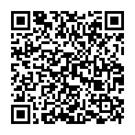 qrcode:https://www.info241.com/electricite-deux-navires-prets-a-produire-mais-le-gabon-tarde-a,9707