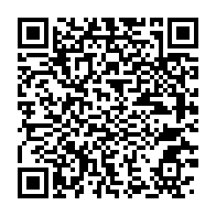 qrcode:https://www.info241.com/sahel-le-burkina-faso-le-mali-et-le-niger-creent-l-aes-une,1867