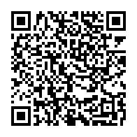qrcode:https://www.info241.com/brice-laccruche-fargeon-a-son-tour-chasse-du-palais-presidentiel,4733